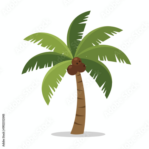 Tropical Palm Tree Illustration