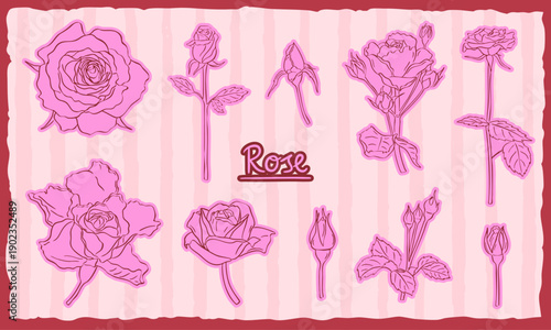 Rose plant elements hand drawn illustration collection - vector drawing sketch