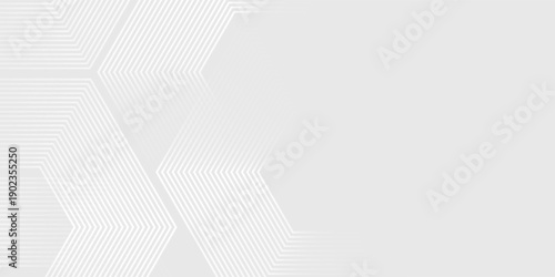 Hexagon white gray wave light technology texture background. Abstract big data digital concept simple art modern abstract. eps10 vector