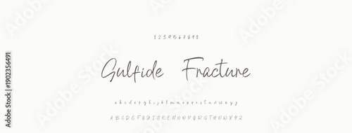 Elegant Script Font Alphabet Typography. Signature Font Calligraphy Logotype Script Brush Font Type Font lettering handwritten.