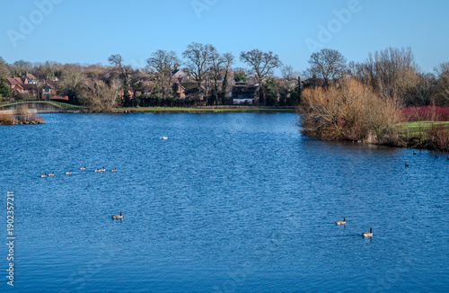 Caldecotte Lake in Milton Keynes with bright blue water under a clear winter sky and waterbirds swimming peacefully A