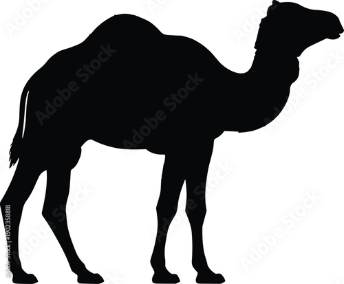 Black Camel Illustration Animal On Transparent Background