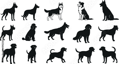 Collection of domestic dog breed silhouettes in various poses isolated on gray background, canine pet animal illustration set for design