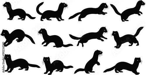 Collection of ferret silhouettes in playful poses isolated on gray background, small mammal pet animal illustration set for design