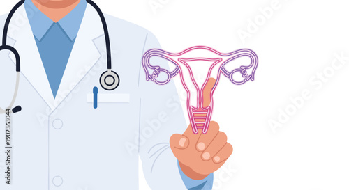 Close Up of Doctor Pointing to Female Uterus and Ovaries Anatomical Diagram