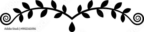 Black divider symbol with leaves and elegant curl decoration element. Ornament for text, greeting card, invitation design. Floral border vector illustration