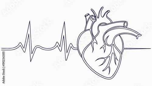 Stunning line drawing of human heart with ECG rhythm