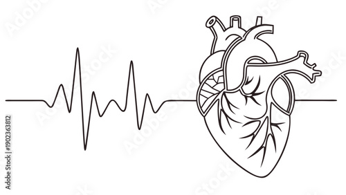 Heartbeat rhythm with human heart in elegant line art style