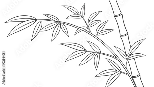 Elegant bamboo branch with leaves in minimalist design