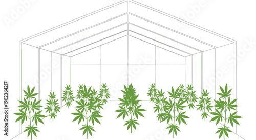 Green Cannabis Plants Growing Inside White Wireframe Greenhouse Structure Illustration
