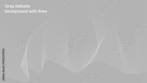 Gray delicate background with lines, gray lines, light gray, background. Vanishing lines. Background with vanishing lines.