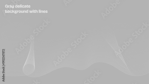 Gray delicate background with lines, gray lines, light gray, background. Vanishing lines. Background with vanishing lines.