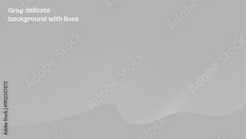 Gray delicate background with lines, gray lines, light gray, background. Vanishing lines. Background with vanishing lines.