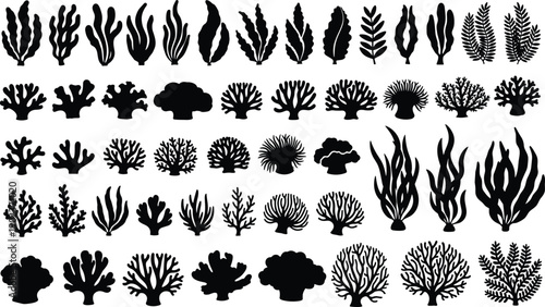 Collection of coral reef and seaweed silhouettes isolated on white background representing underwater marine flora, ocean biodiversity, and aquatic ecosystem design