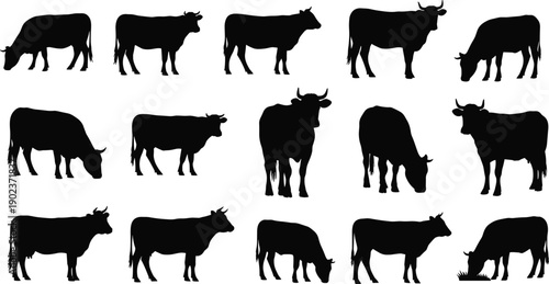 Collection of cow and cattle silhouettes isolated on white background representing livestock farming, dairy production, agriculture industry, and rural animal concepts