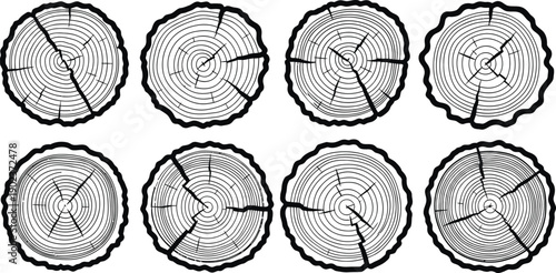 A detailed illustration of tree trunk cross-sections showcasing growth rings and cracks