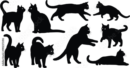 Collection of domestic cat silhouettes in playful and standing poses isolated on white background representing pets, feline animals, and lifestyle concepts