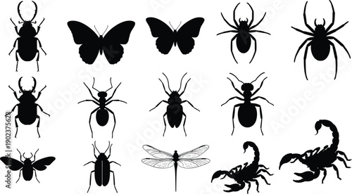Collection of insect and arachnid silhouettes including butterflies, spiders, scorpions, ants, and beetles isolated on white background representing wildlife biodiversity