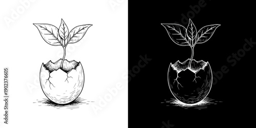 Sprout growing from cracked egg symbolizing new beginnings and Spring Equinox, isolated vector image, two design options on transparent and black backgrounds, pencil drawing, chalk drawing  