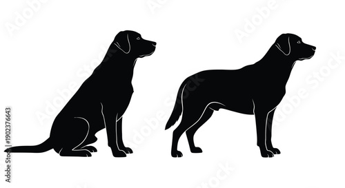 Black silhouette profile of a Labrador retriever dog showing both sitting and standing poses