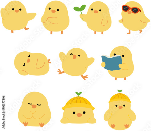 병아리