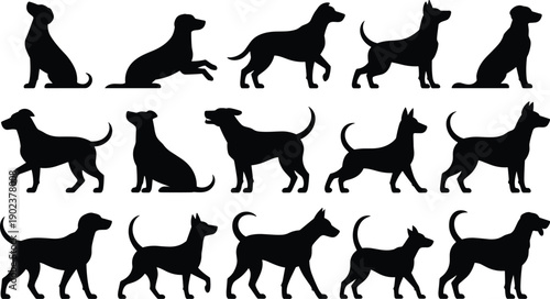 set of animals silhouettes