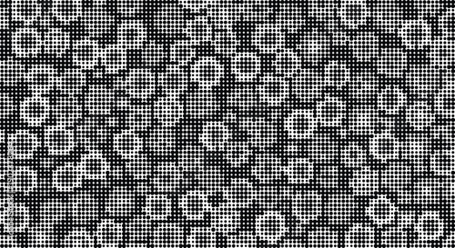 Black and white halftone pattern of varying circle sizes creating a textured abstract background