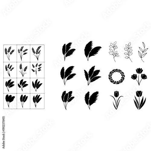 Botanical illustrations of various leaf and flower arrangements in monochrome