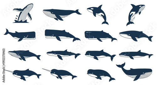 Collection of various whale and dolphin silhouettes in different poses.