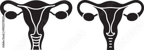 Black Uterus and Ovaries Icon Vector Illustration on Gray Background