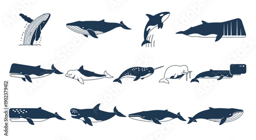 Collection of various marine animals and sea creatures illustrations.