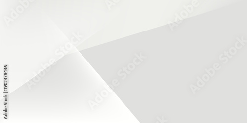 Abstract white and gray background. smooth abstract background, blurred pattern. Light pale vector background. Abstract pale geometric pattern eps 10