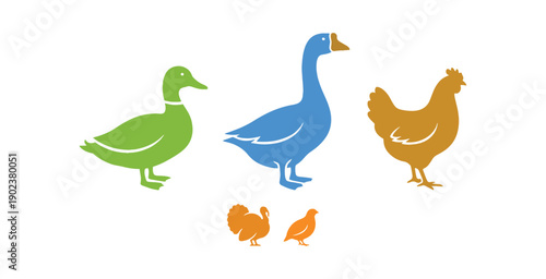 Illustration of various poultry like ducks, geese, and chickens in multiple colors