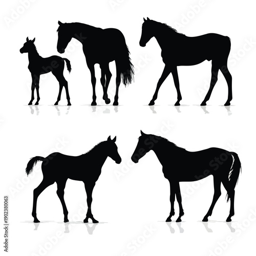 horse silhouettes vector