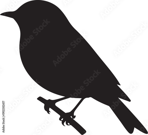 Black bird silhouette perched on a branch