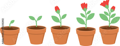 Plant growth stages in pots vector illustration, seedling to flowering plant sequence, gardening development timeline concept