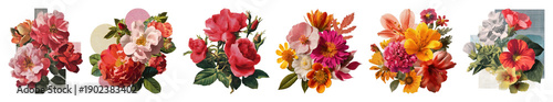 PNG Vibrant floral bouquet collection, transparent background