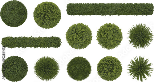Top view garden shrubs and hedges vector set, landscaping bushes and ornamental plants collection for landscape design, park planning, and map illustrations