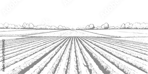 Stylized black and white illustration of cultivated agricultural fields with rows stretching to the horizon, symbolizing farming and nature.