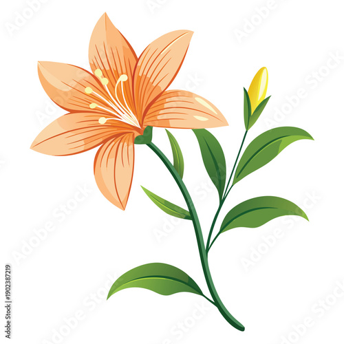 Cuadro en lienzo zephyranthes citrina flower on white