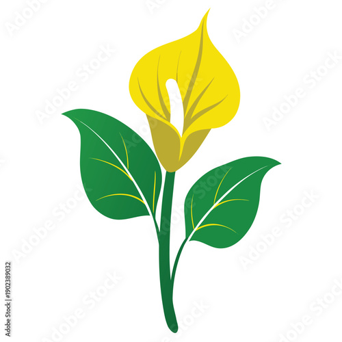 yellow skunk cabbage flower silhouette with branch