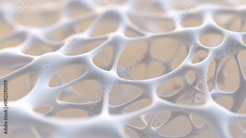 A close-up view of a complex, white, organic network of interconnected lines and shapes.