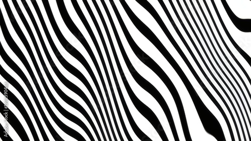 Zebra pattern Black and white curving lines creating a dizzying visual effect. Suitable for abstract design projects or hypnotic visuals.