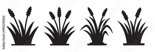 Four black silhouette icons of cattail plants in water or marshy areas