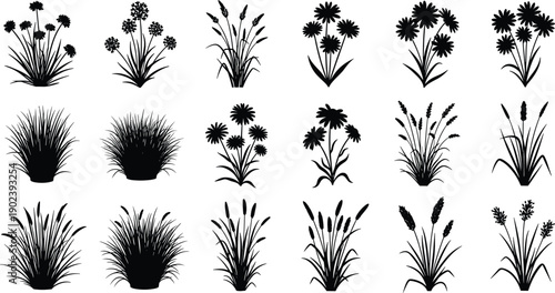 Big collection of black vector silhouettes including wild flowers grass clumps reeds and grain stalks isolated on white background for nature and landscape design