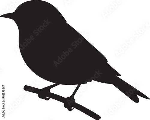 Black silhouette of a bird perched on a branch