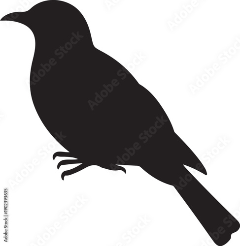 Black silhouette of a bird standing on a branch