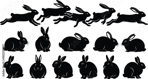 Black silhouette collection of cute rabbits and hares in different poses like running jumping and sitting isolated on white background for Easter vector designBlack silhouette collecti