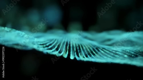 Close-up of Abstract Blue and Green Transparent Wave Pattern on Black Background Highlighting Texture and Depth in Oceanic Style