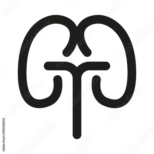 Kidney Professional Modern Line Icon. Minimal and unique medical symbol representing human organ healthcare anatomy urinary system and renal health